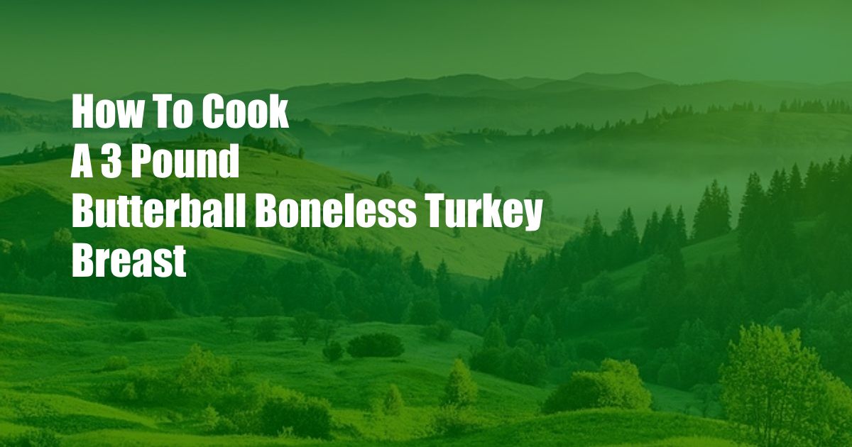 How To Cook A 3 Pound Butterball Boneless Turkey Breast