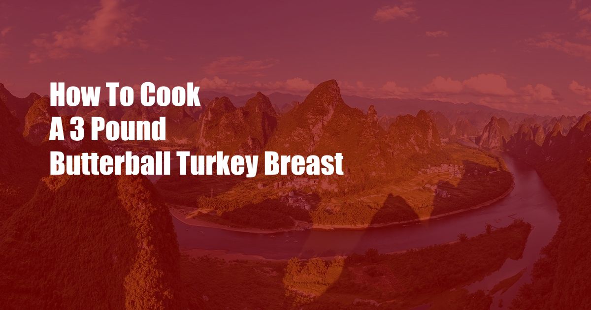 How To Cook A 3 Pound Butterball Turkey Breast