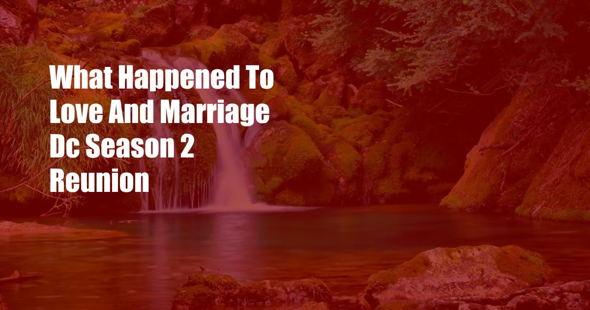 What Happened To Love And Marriage Dc Season 2 Reunion